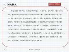 这是国企取平易近企配合存正在的